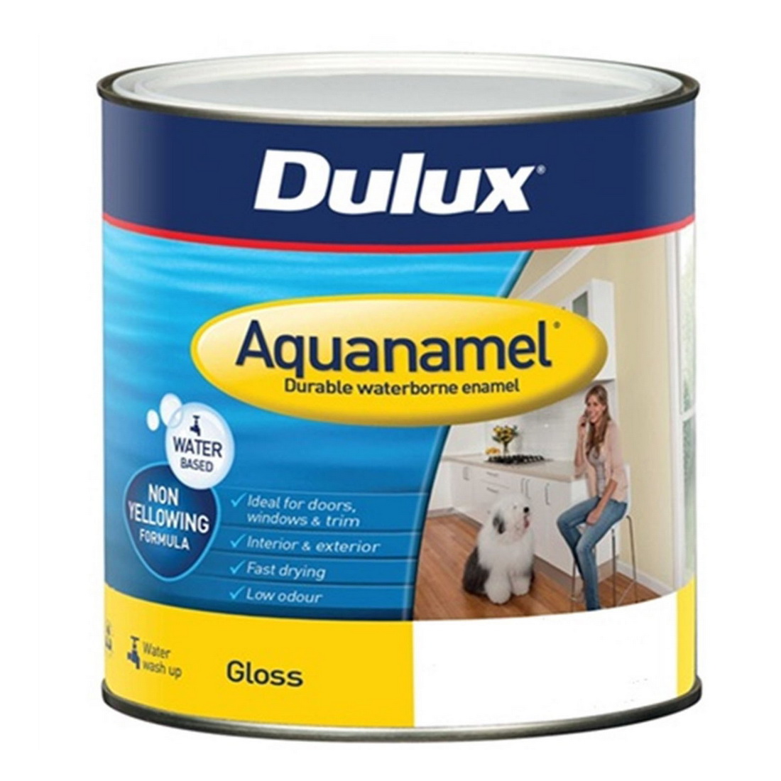 Aquanamel Gloss Vivid White 500ml | Walls | Interior Paint | Paint ...