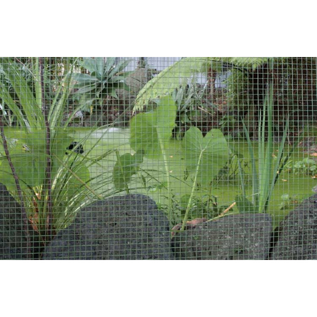 Cyclone Galvanised Square Welded Mesh 900 x 13 x 0.9mm 5m 8571074 Cyclone Galvanised Square Welded Mesh 900 x 13 x 0.9mm 5m 8571074
