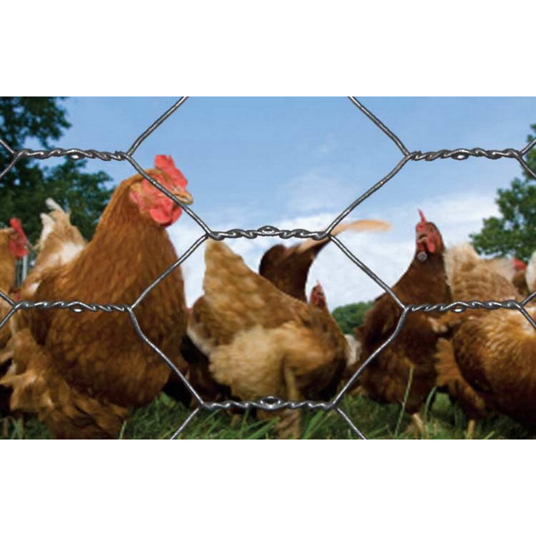 Fencing & Netting (Non Timber) | Landscaping | PlaceMakers