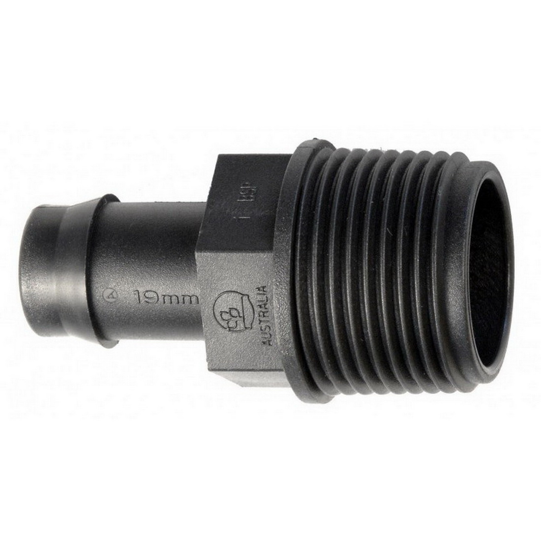 Antelco Lateral Fitting 13 x 20mm BSPM Director LMD1925BC Antelco Lateral Fitting 13 x 20mm BSPM Director LMD1925BC
