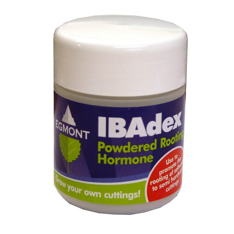 EGMONT IBADEX POWDERED ROOTING HOROMONE 25G EGMONT IBADEX POWDERED ROOTING HOROMONE 25G