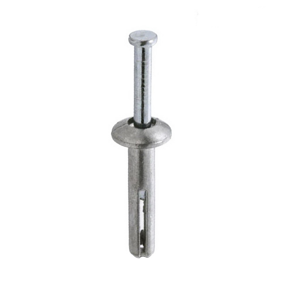 Shuredrive Mushroom Head Drive Anchor 6 X 30mmss Each Shuredrive Mushroom Head Drive Anchor 6 X 30mmss Each