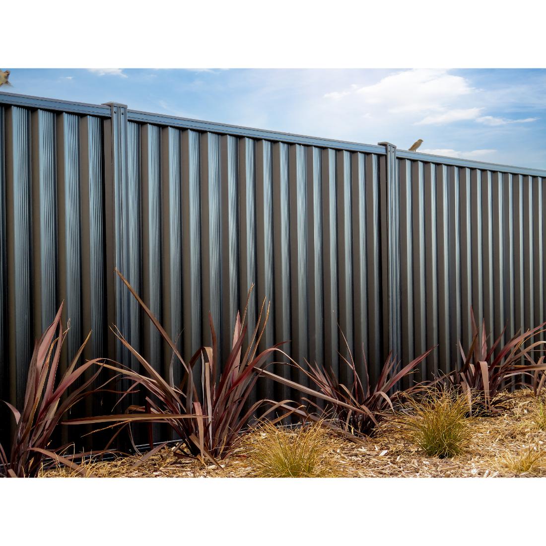 ColourWall Fence Panel 1800h x 2380w | PlaceMakers NZ