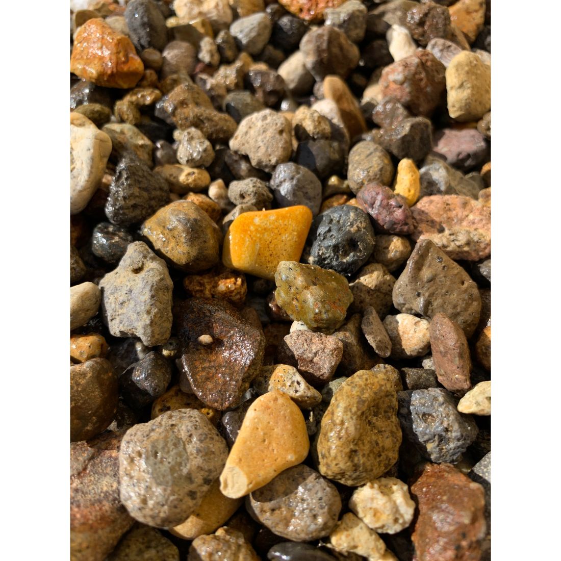 Golden Blend Medium 0.25m3 Golden Blend Medium 0.25m3