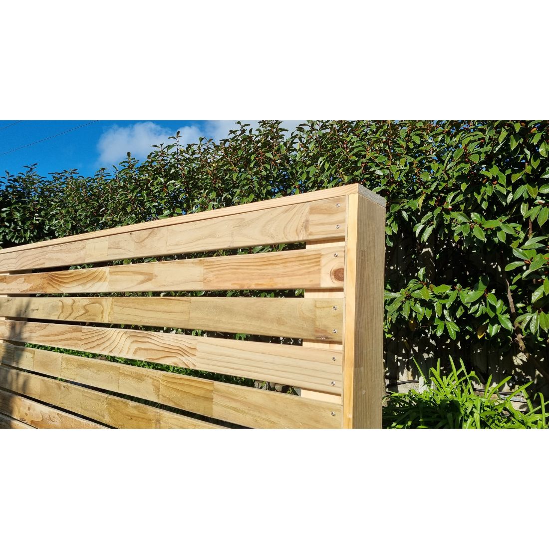 Rad Timber Screening Finger Jointed H3.2 88 X 19mm X 5.4m