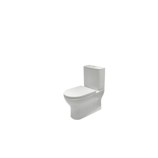 Dawson II Back to Wall Toilet Suite Standard Seat 741383 PlaceMakers NZ