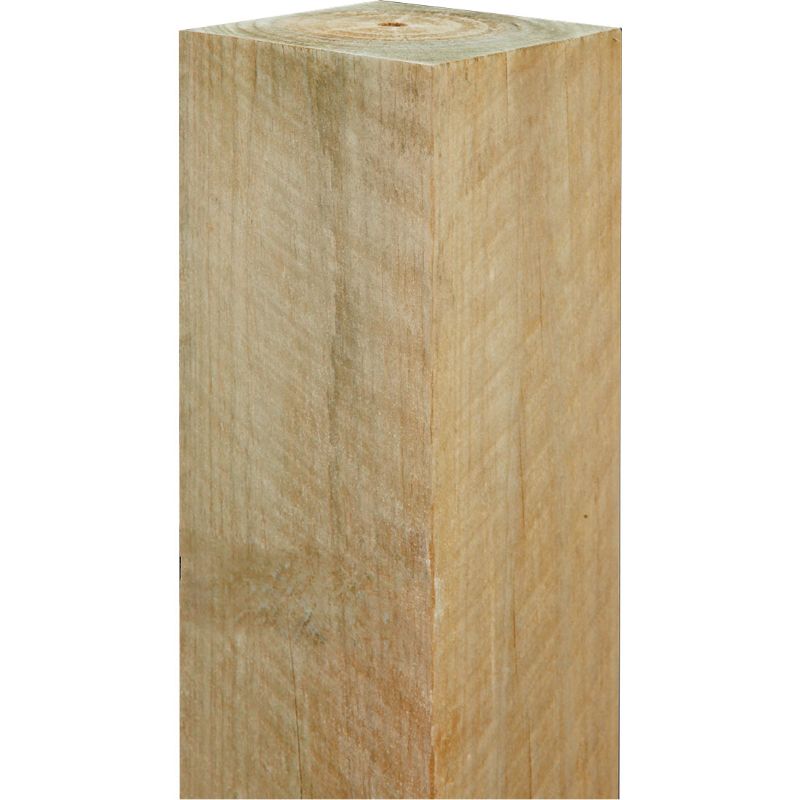 Radiata Square House Pile Ordinary H5 Treated 125 x 125 x 900mm